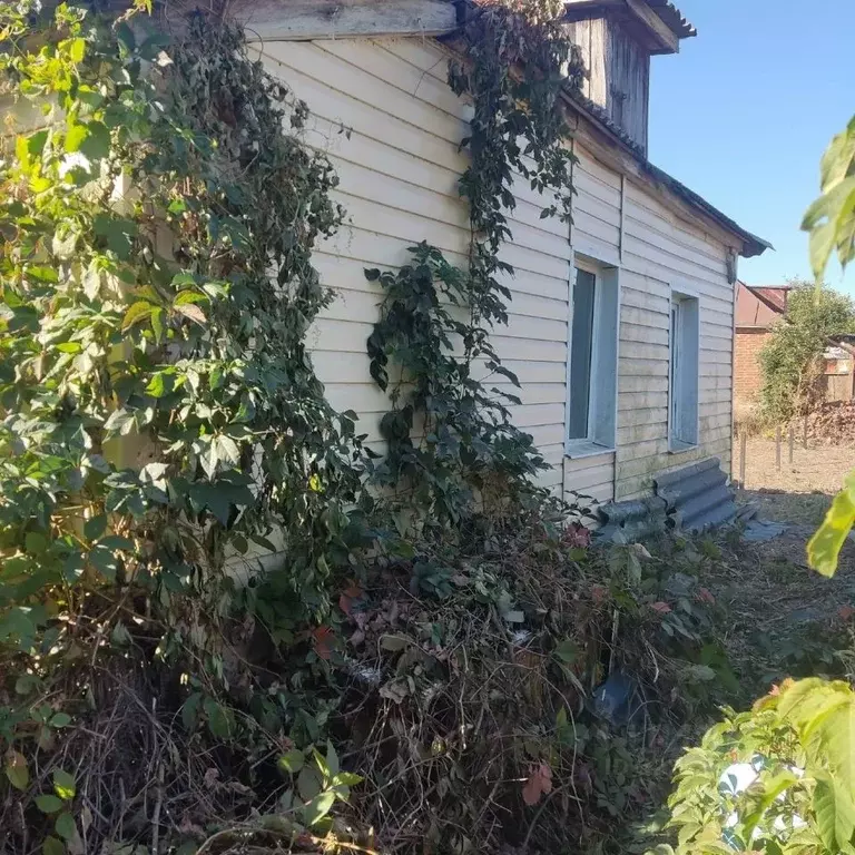 Дом в Белгородская область, Яковлевский муниципальный округ, с. ... - Фото 0