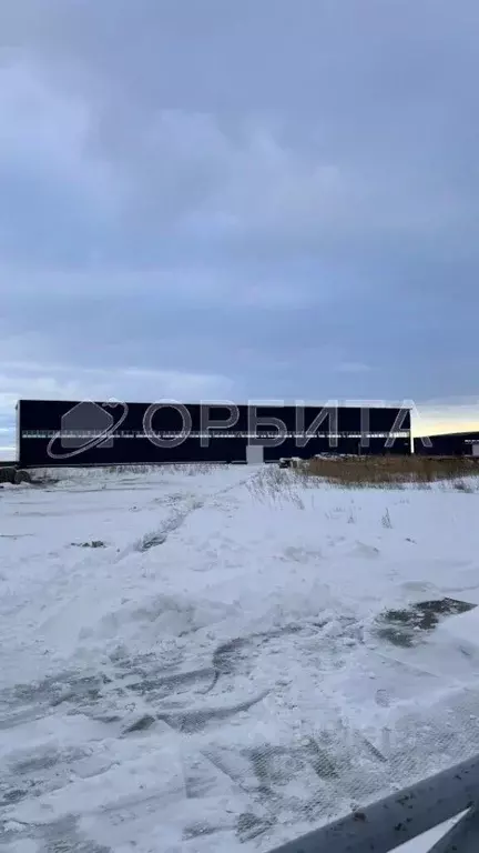 Помещение свободного назначения в Тюменская область, Тюмень ... - Фото 0