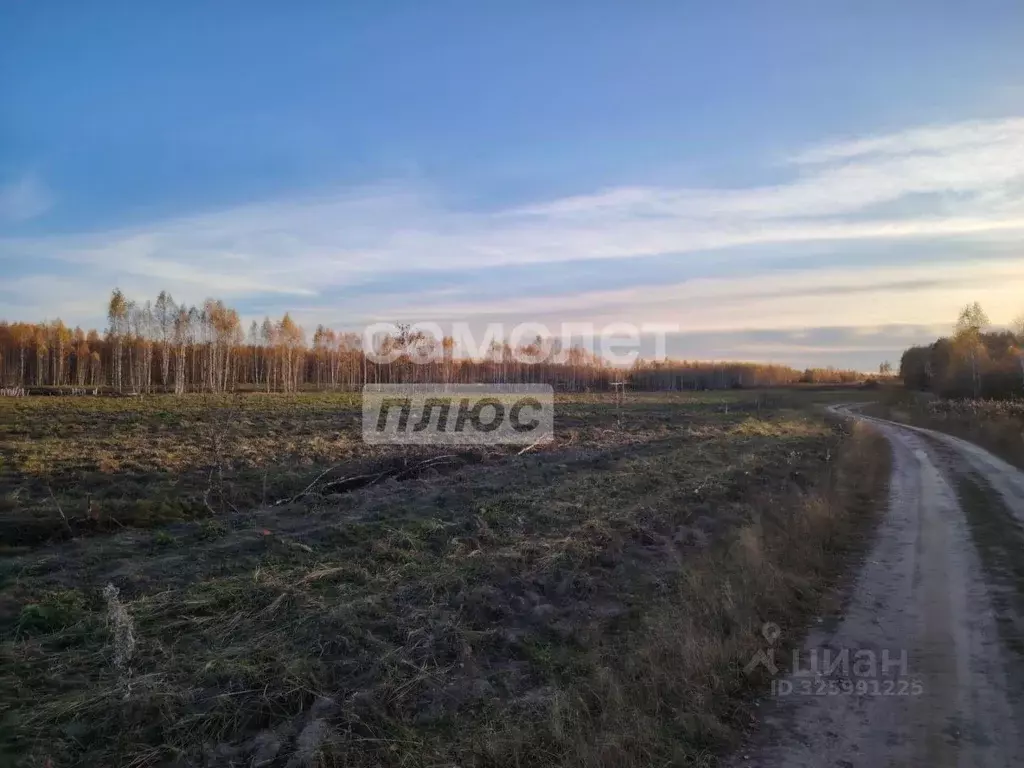 Участок в Тюменская область, Тюменский муниципальный округ, д. Чаплык ... - Фото 2