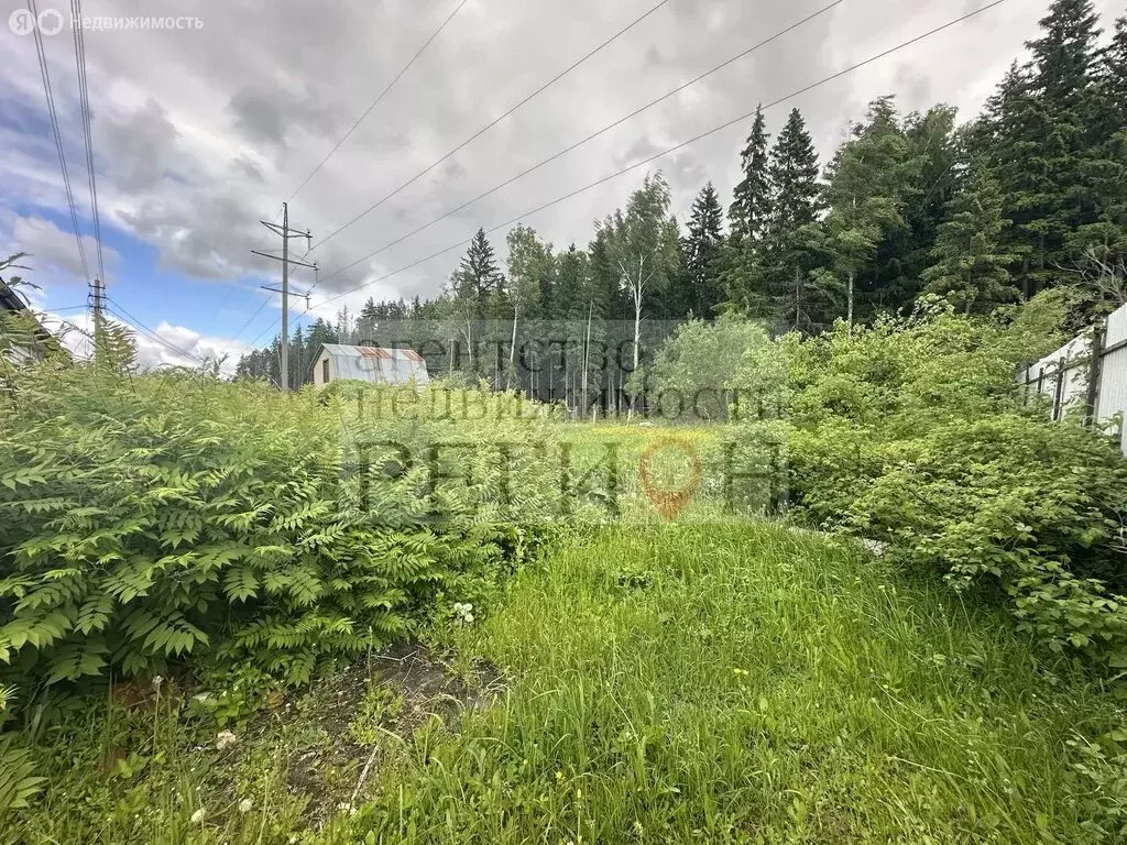 Участок в Наро-Фоминский городской округ, СНТ Изолятор (7.7 м) - Фото 2