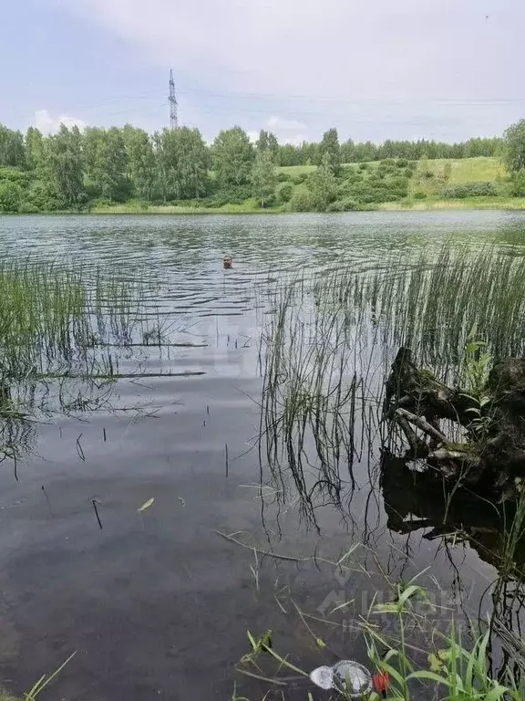 Участок в Новосибирская область, Новосибирский район, Станционный ... - Фото 1