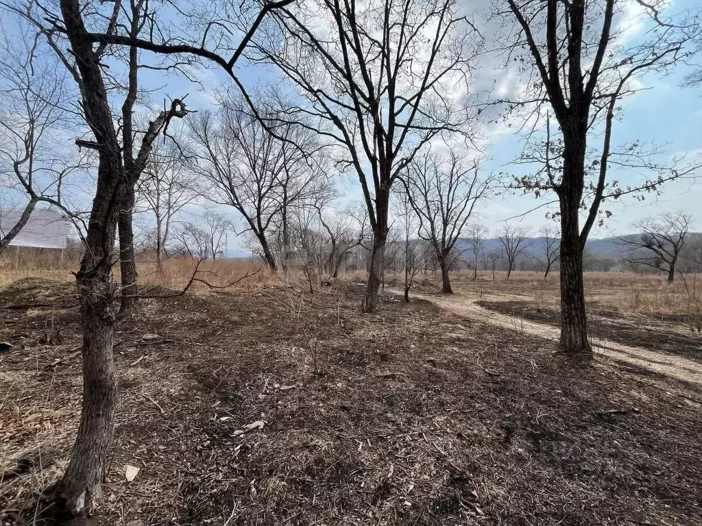 Участок в Приморский край, Партизанск Лозовый кв-л,  (12.0 сот.) - Фото 0