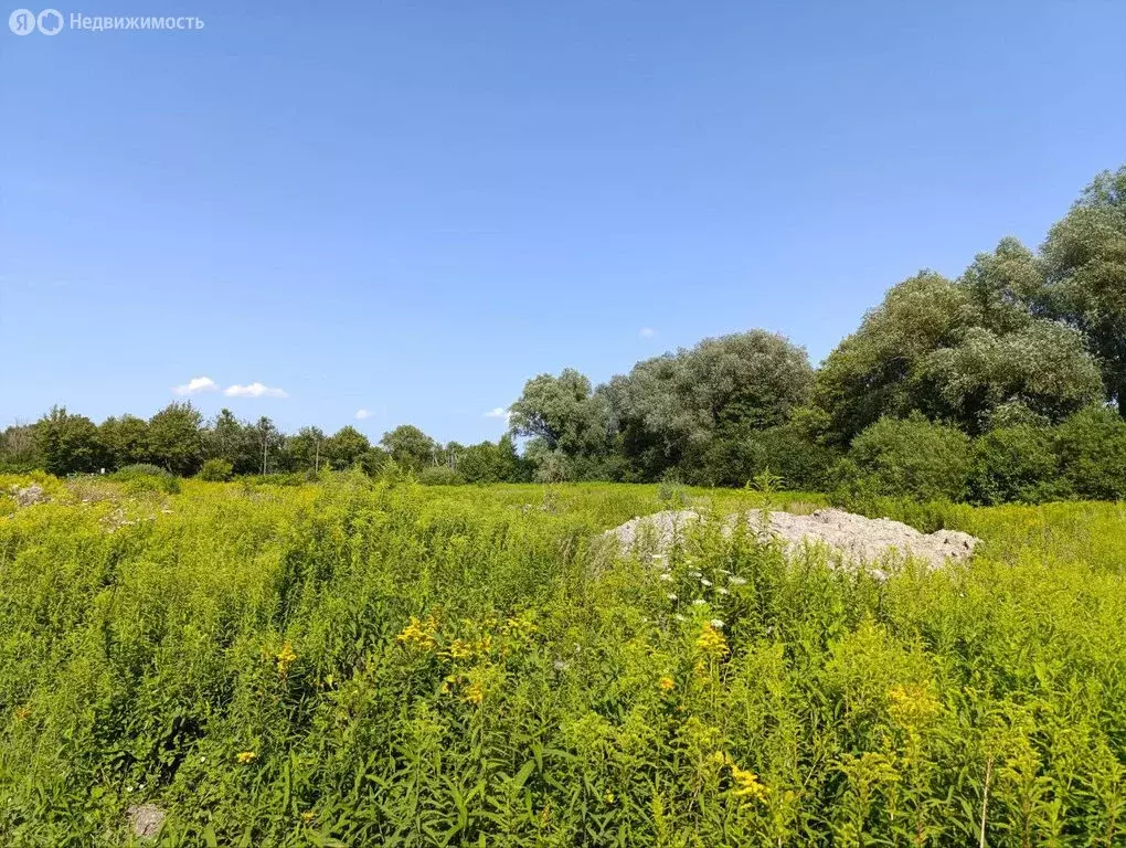 Участок в Калининград, Люблинское шоссе (5.56 м) - Фото 1