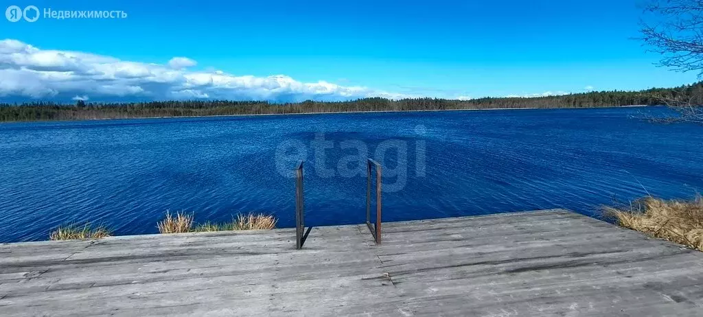 Помещение свободного назначения (206.1 м) - Фото 2
