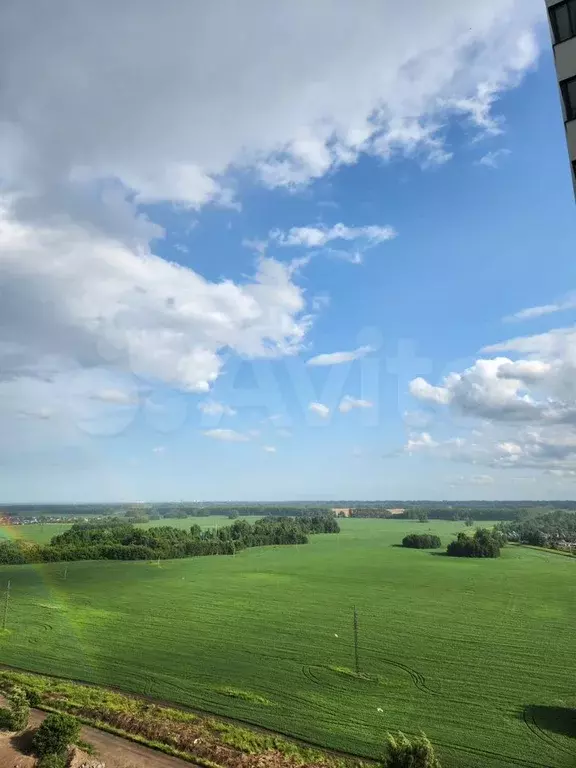 2-к. квартира, 50,7 м, 17/24 эт. - Фото 1
