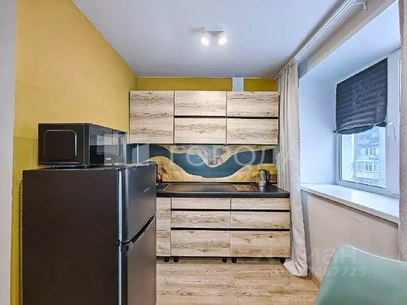 Студия Новосибирская область, Новосибирск ул. Кошурникова, 13 (29.0 м) - Фото 2