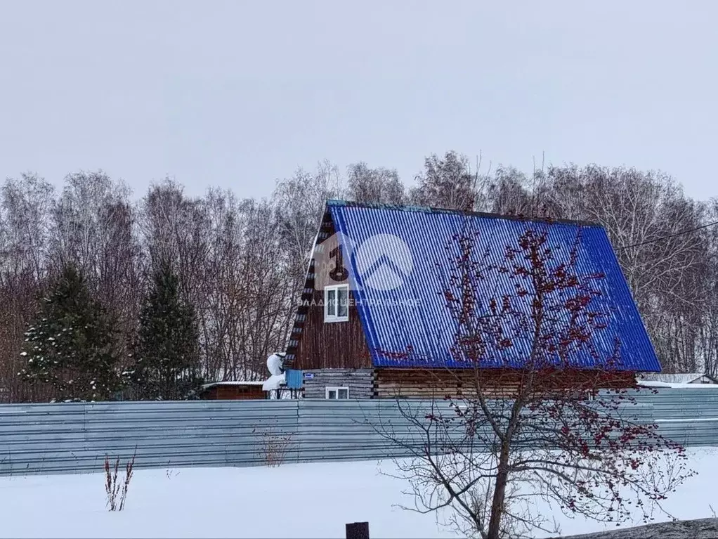 Дом в Новосибирская область, Искитимский район, Совхозный сельсовет, ... - Фото 2