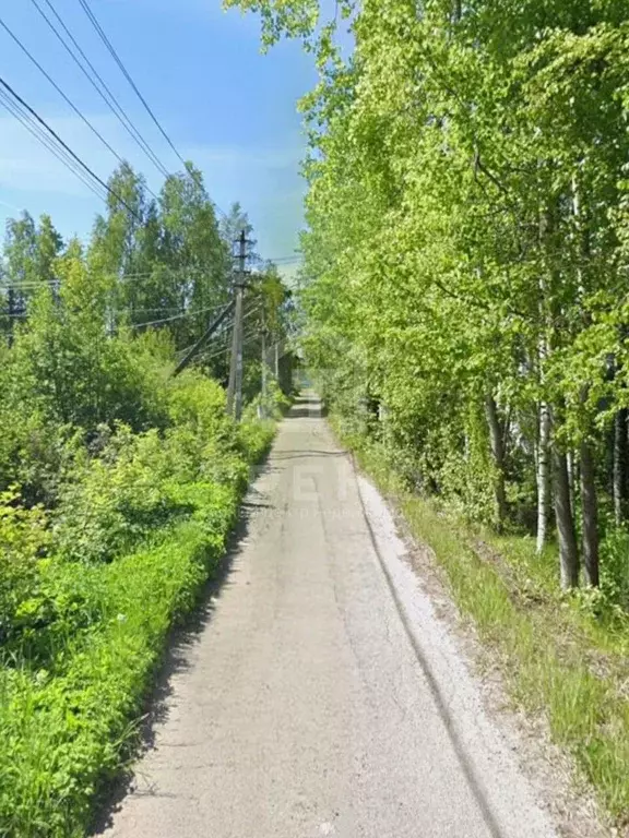 Участок в Ленинградская область, Всеволожское городское поселение, ... - Фото 0