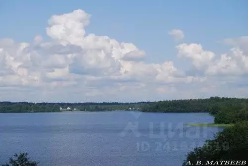 Участок в Новгородская область, Демянский муниципальный округ, д. ... - Фото 2