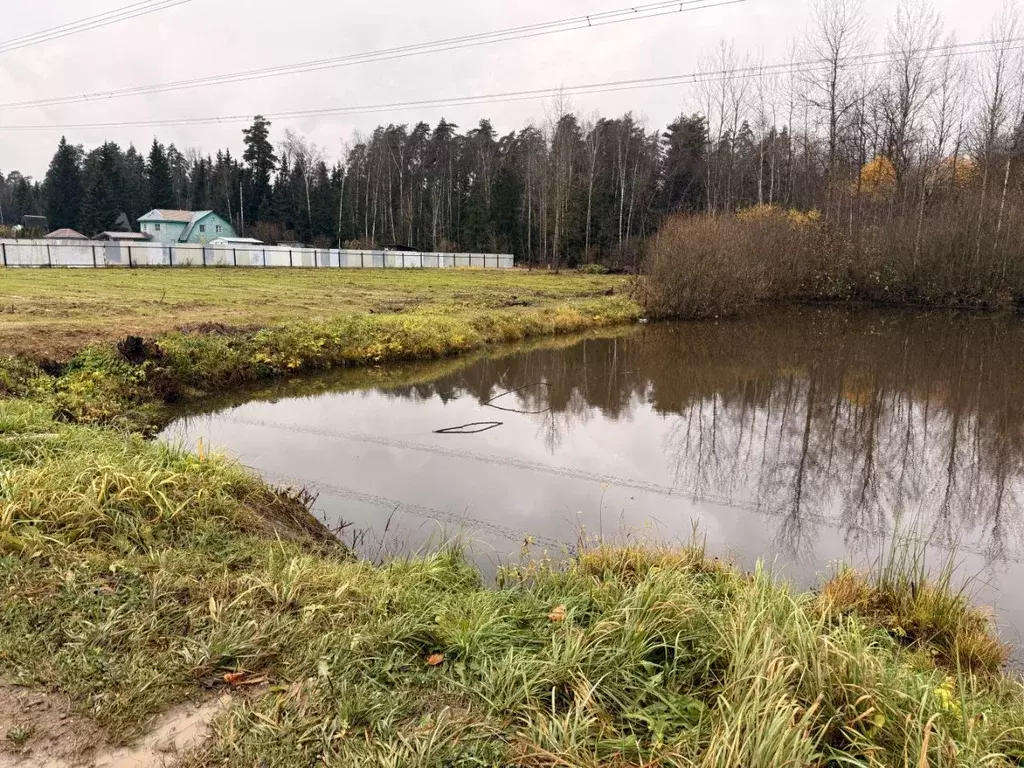 Участок в Московская область, Щелково городской округ, Заозерный СНТ ... - Фото 2