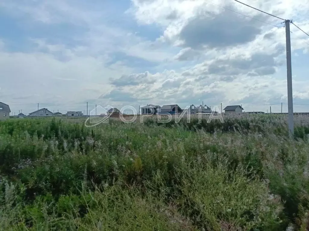 Участок в Тюменская область, Тюменский муниципальный округ, д. ... - Фото 1