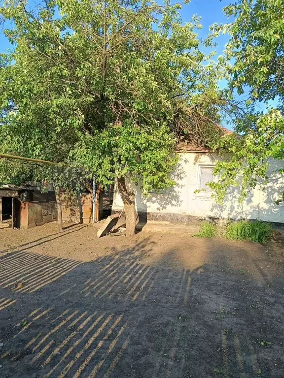 Дом 66,3 м на участке 25 сот. - Фото 1