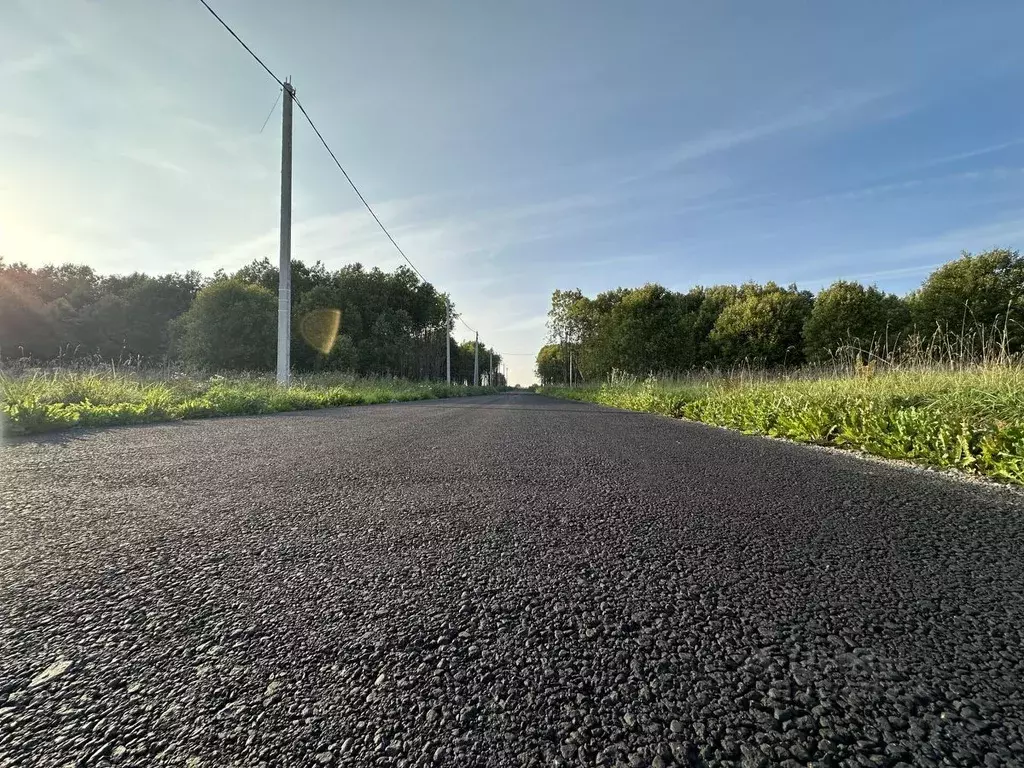 Участок в Ленинградская область, Всеволожский район, Романовское ... - Фото 0