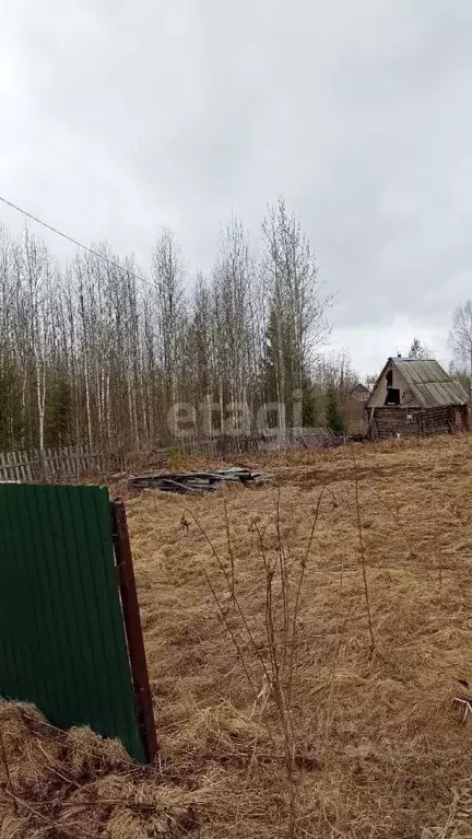 Участок в Коми, Сыктывдинский район, с. Выльгорт, Клен садоводческое ... - Фото 0