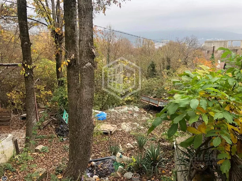 Участок в Крым, Ялта муниципальный округ, Виноградное пгт  (4.0 сот.) - Фото 1