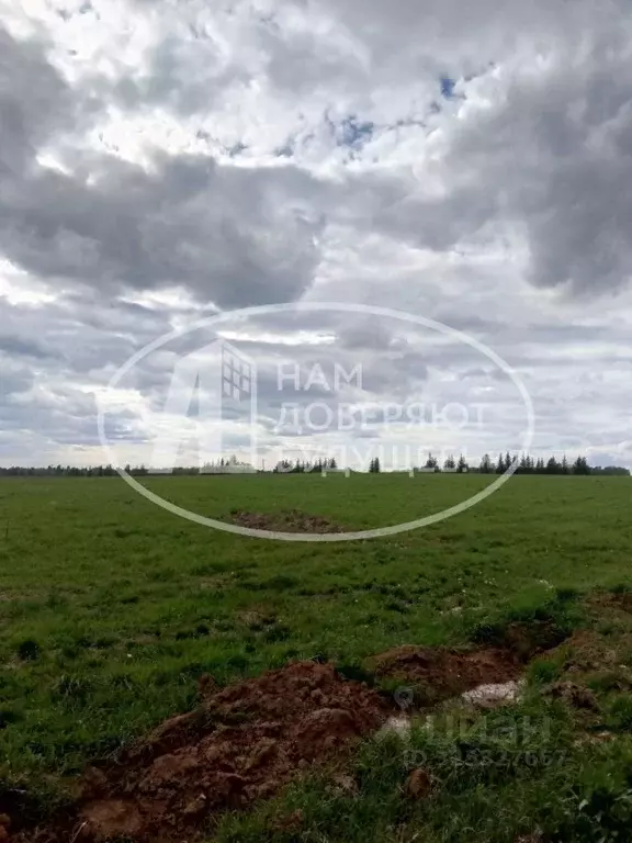 Участок в Пермский край, Кунгурский муниципальный округ, д. Теплая  ... - Фото 2