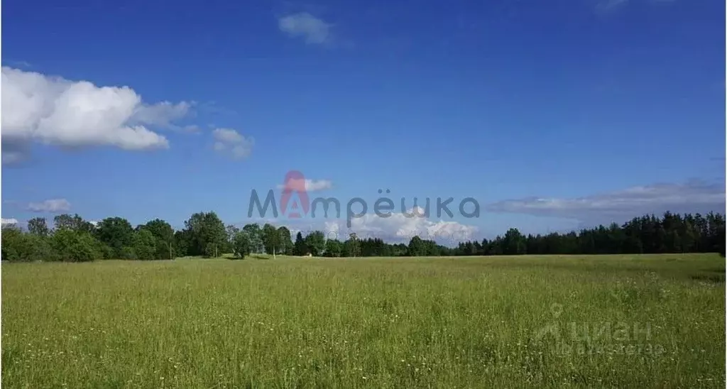 Участок в Белгородская область, Корочанский район, Мелиховское с/пос, ... - Фото 1