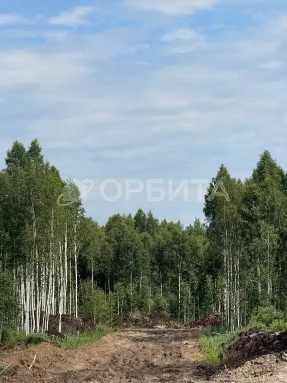 Участок в Тюменская область, Тюменский район, пос. Новотарманский  ... - Фото 1