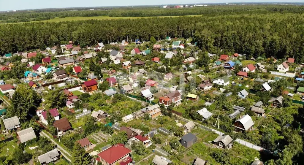 Дом в Тюменская область, Тюмень Лесник СНТ, ул. Мичурина (45 м) - Фото 1