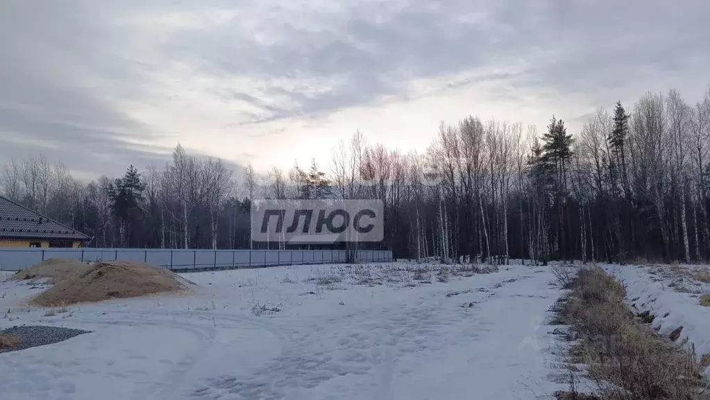 Участок в Ленинградская область, Ломоносовский район, Горбунковское ... - Фото 0