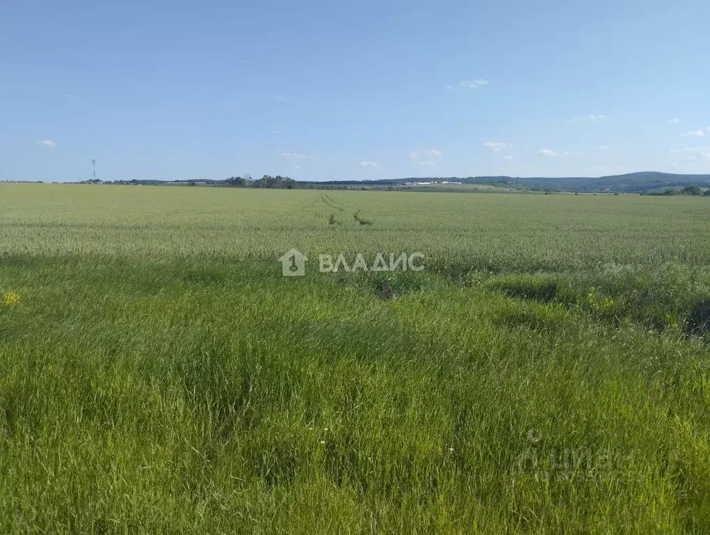 Участок в Краснодарский край, Северский район, Ильское городское ... - Фото 1