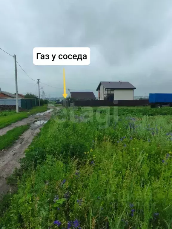 Участок в Саратовская область, Балашовский район, с. Репное ... - Фото 2