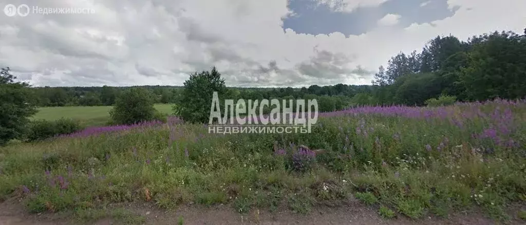 Участок в Выборгский район, Селезнёвское сельское поселение, посёлок ... - Фото 1