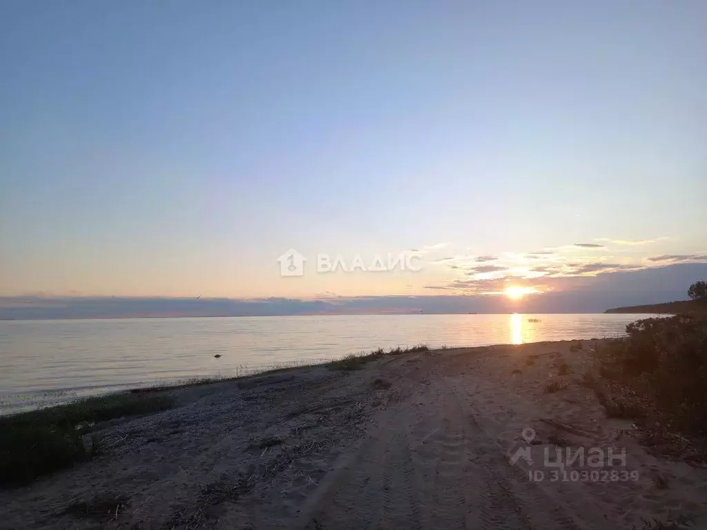 Дом в Ярославская область, Рыбинский район, пос. Каменники Полевая ... - Фото 0