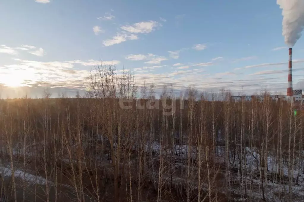 1-к кв. Тюменская область, Тюмень Малая Боровская ул., 38/5 (35.1 м) - Фото 1