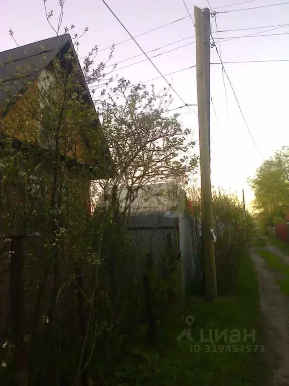 Участок в Тюменская область, Тюменский район, Дружба СНТ ул. Зеленая ... - Фото 1