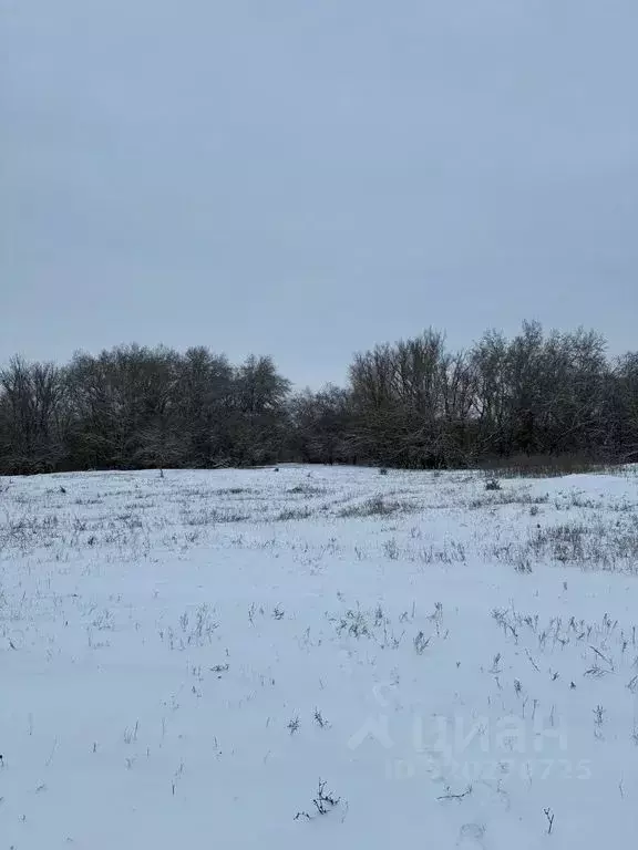 Дом в Волгоградская область, Городищенский район, Песковатка хут.  (62 ... - Фото 2