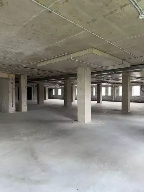 Помещение свободного назначения в Санкт-Петербург ул. Лагоды, 2 (22 м) - Фото 1