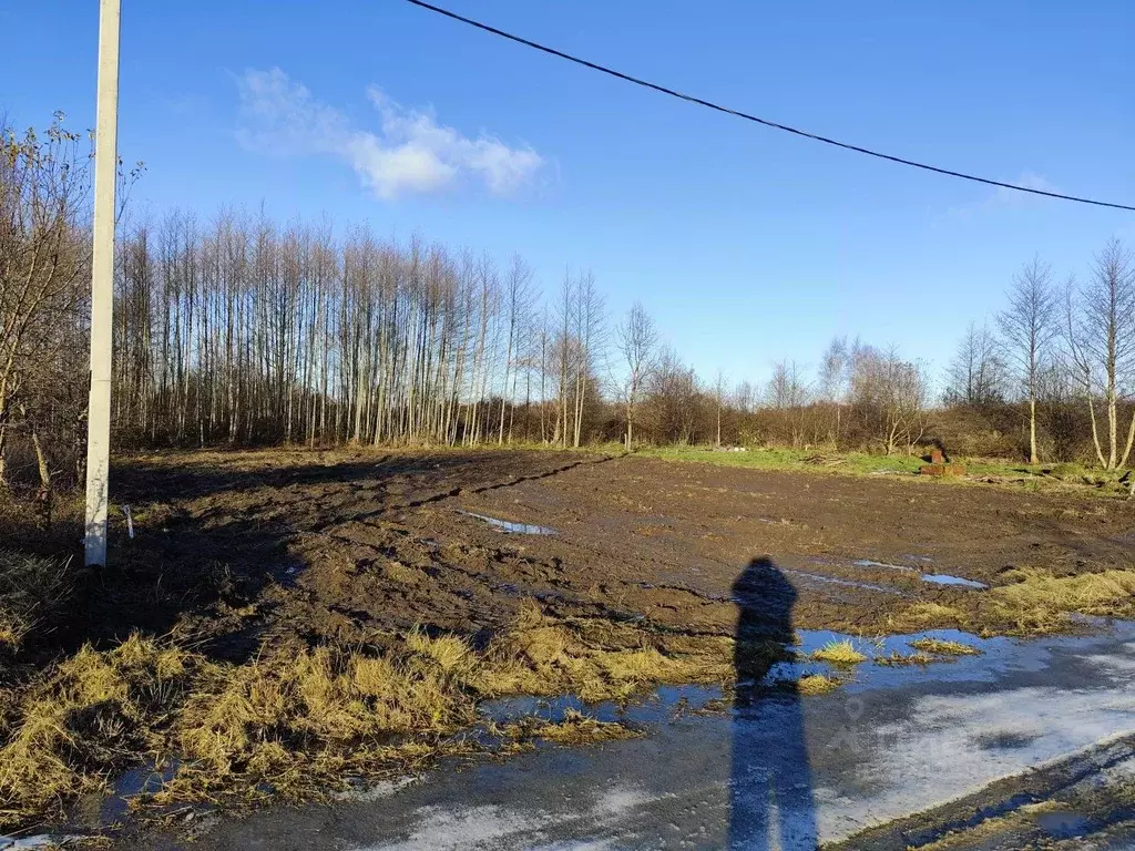 Участок в Калининградская область, Светлогорский городской округ, пос. ... - Фото 2