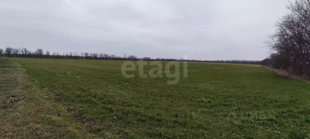 Участок в Крым, Симферопольский район, с. Урожайное  (906.37 сот.) - Фото 2