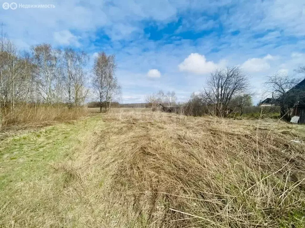 Участок в Костромской район, Шунгенское сельское поселение, деревня ... - Фото 2