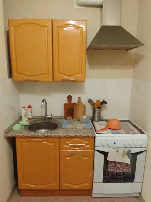 2-к кв. Алтайский край, Барнаул Лазурная ул., 1 (55.0 м) - Фото 2