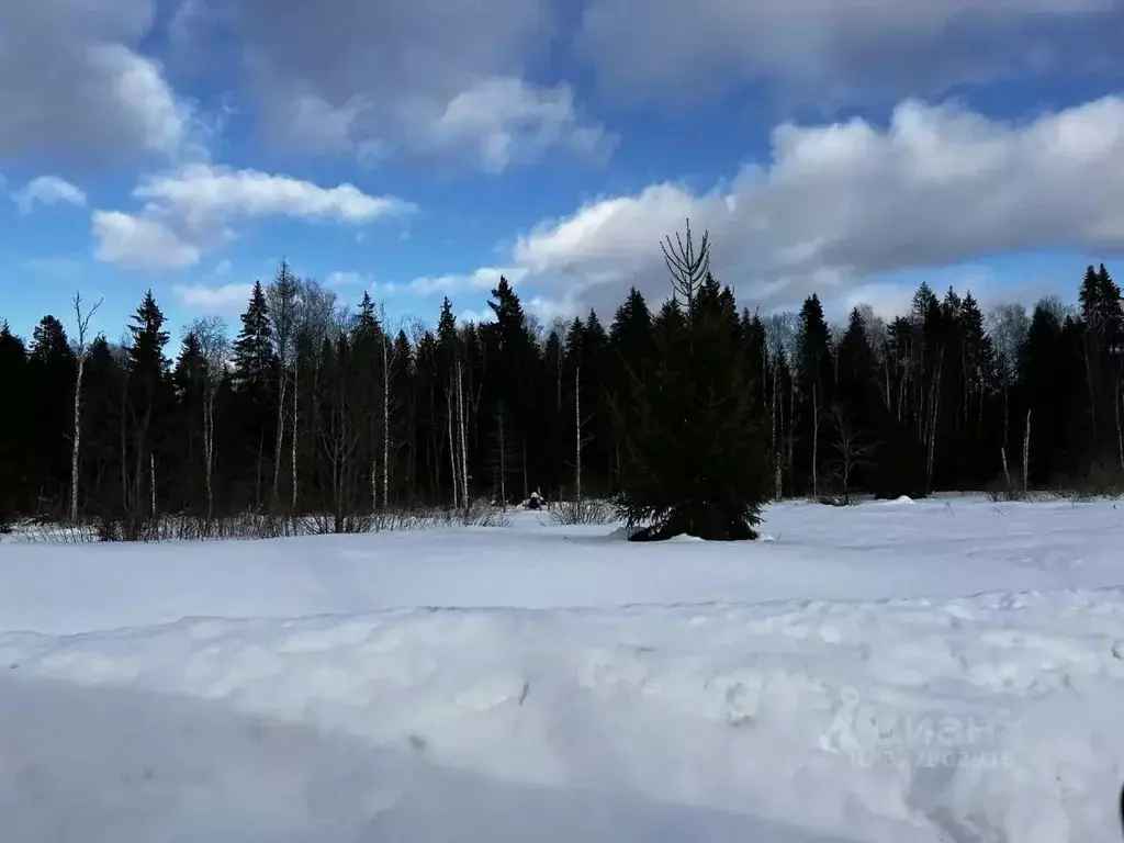 Участок в Московская область, Одинцовский городской округ, с. ... - Фото 2