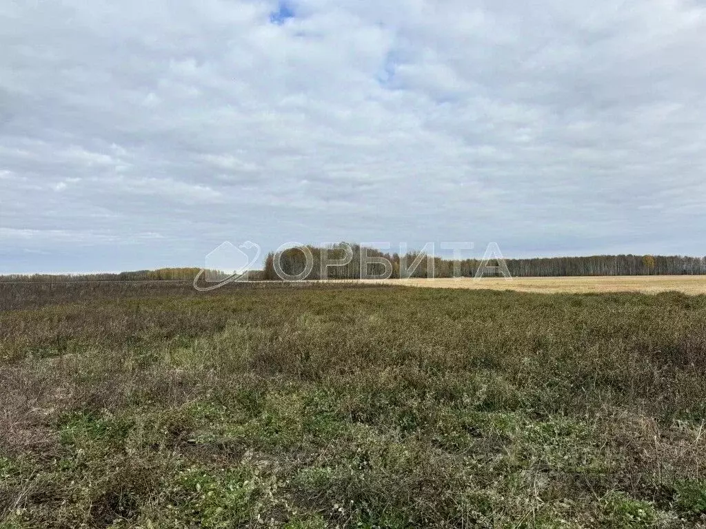 Участок в Тюменская область, Тюменский муниципальный округ, д. Елань ... - Фото 2