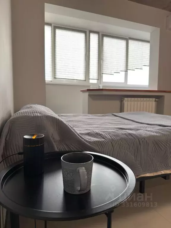 Студия Московская область, Балашиха ул. Лукино, 51А (31.4 м) - Фото 2