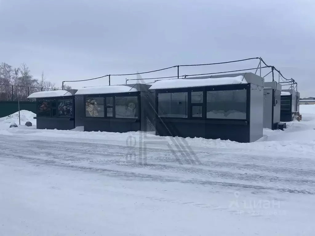 Торговая площадь в Воронежская область, Рамонский район, Айдаровское ... - Фото 1