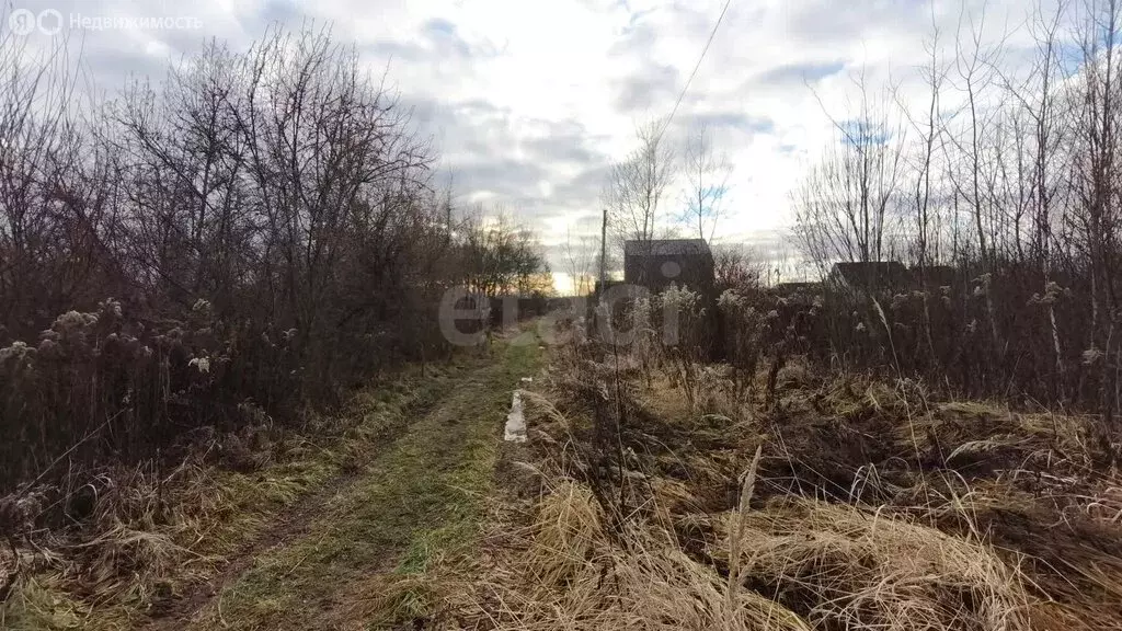 Участок в Московская область, Раменский муниципальный округ, СНТ ... - Фото 2