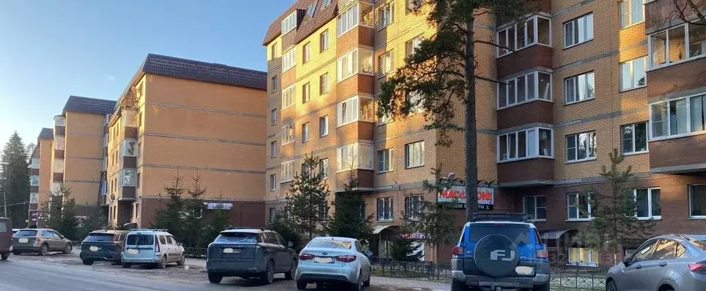 1-к кв. Ленинградская область, Всеволожск Христиновский просп., 83к2 ... - Фото 2