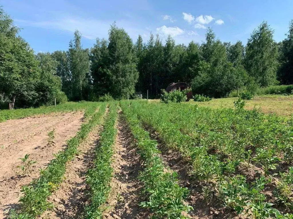 Купить Участок Костромская Область
