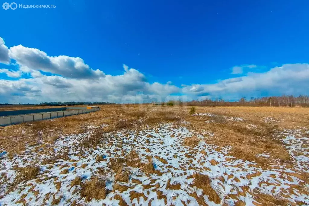 Участок в Тюменский район, село Борки (15 м) - Фото 1