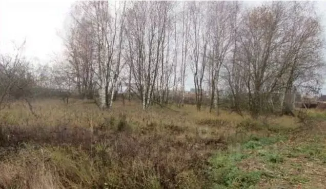 Участок в Московская область, Коломна городской округ, с. Горы  (8.0 ... - Фото 1