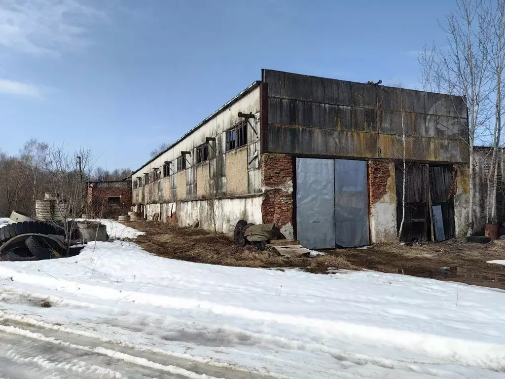 Производственное помещение в Смоленская область, Дорогобуж ул. ... - Фото 1