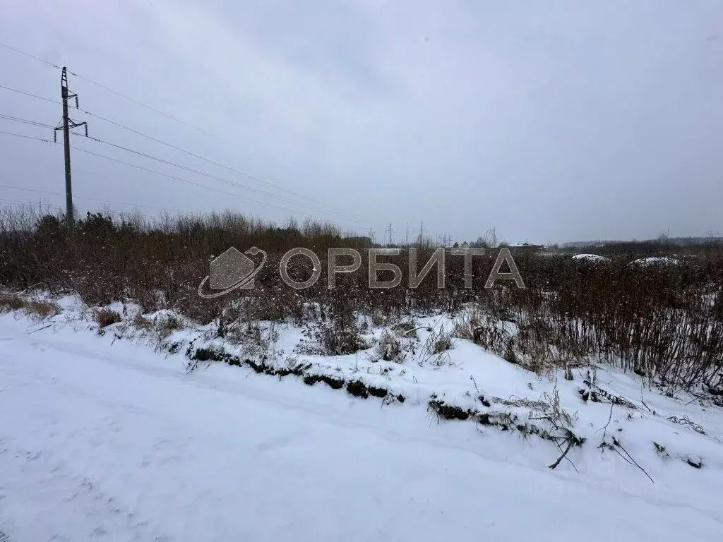 Участок в Тюменская область, Тюменский муниципальный округ, Лоза СНТ ... - Фото 2