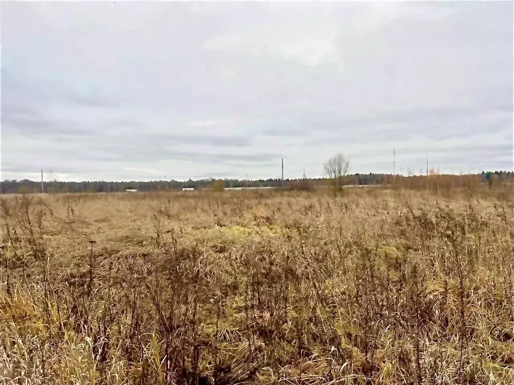 Участок в Московская область, Истра муниципальный округ, с. Петровское ... - Фото 2
