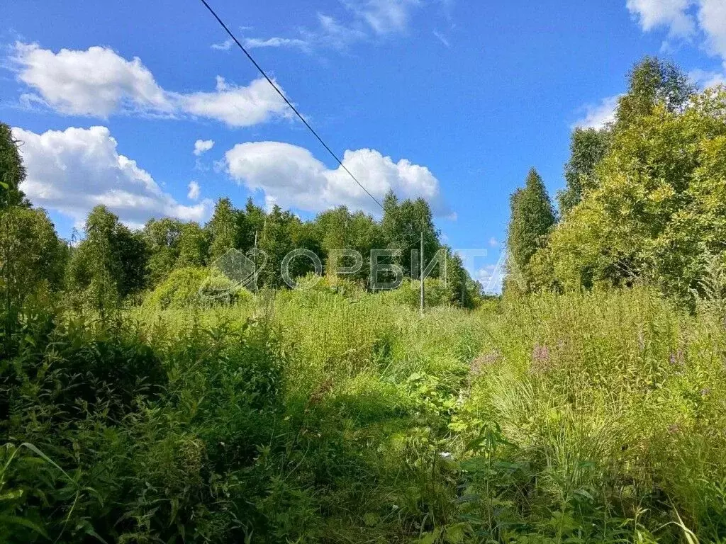 Участок в Тюменская область, Нижнетавдинский район, Сочинские СНТ  ... - Фото 0