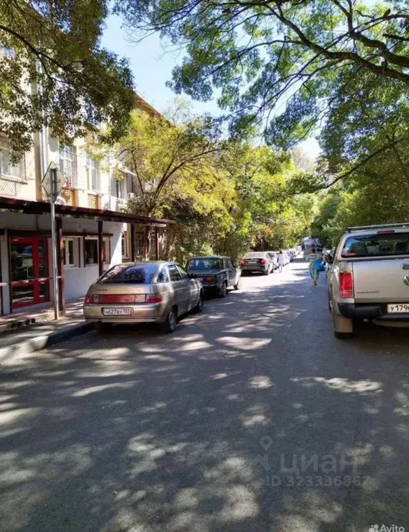 Помещение свободного назначения в Краснодарский край, Сочи Донская ... - Фото 2